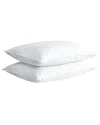 Firefly Twin Pack White Goose Nano Down And Feather Pillows In White