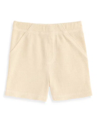 First Impressions Babies' Toddler Boys' 2t-4t Mix And Match Solid Waffle Shorts, Macy's Exclusive In Yellow