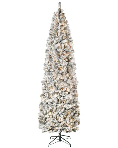 First Traditions 9ft Acacia Flocked Tree With 500 Clear Lights In Green