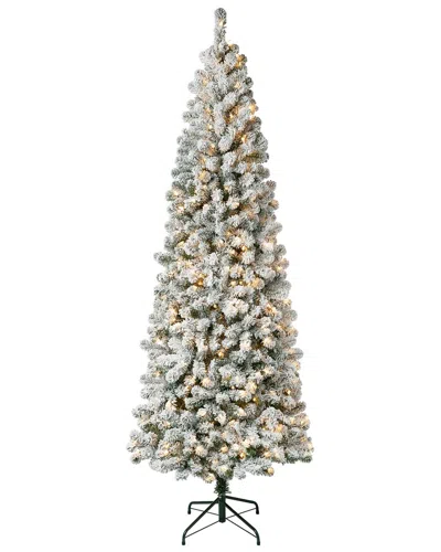 First Traditions 7.5ft Acacia Medium Flocked Tree With 350 Clear Lights In Green