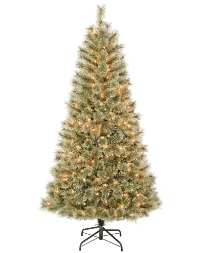 First Traditions Arcadia Pine Cashmere Tree With 200 Clear Lights In Green