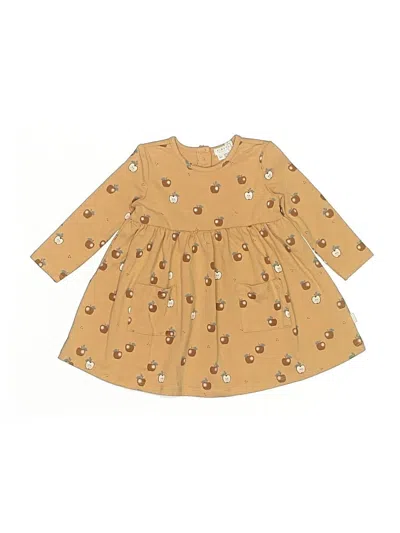 Firsts By Petit Lem Babies' Dress In Brown