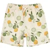 Firsts By Petit Lem Petit Lem Kids' Lemon & Limes Swim Trunks In Beige