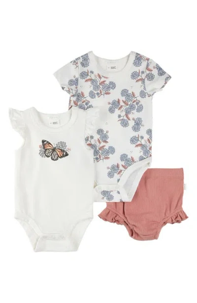 Firsts By Petit Lem Babies'  Majestic Monarchs 3-piece Bodysuits & Rib Ruffle Bloomers Set In Off White