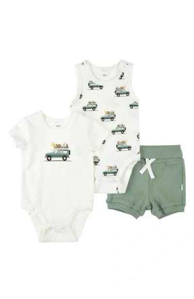 Firsts By Petit Lem Babies'  Safari Vehicle Print 3-piece Cotton Bodysuits & Rib Shorts Set In Off White