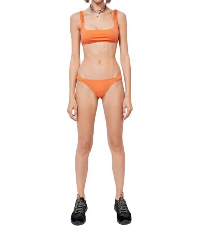 Fisch Corossol Bikini Bottom In Tangerine In Multi