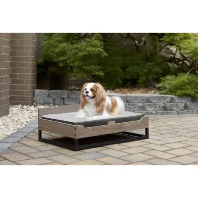 Fisher Price Dog Sofa In Walnut