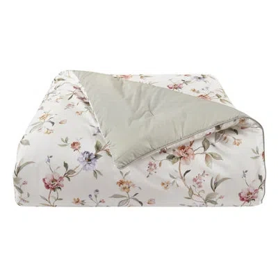 Five Queens Court Charlotte 3pc. Comforter Set Ivory