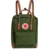 Fjall Raven Fjällräven Kånken Rainbow Water Resistant Backpack In Spruce Green-rainbow Pattern
