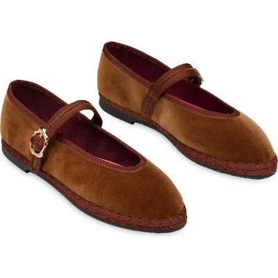 Flabelus Pierre Mary Jane Flat In Brown