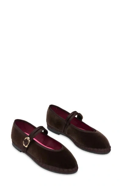 Flabelus Pierre Mary Jane Flat In Brown