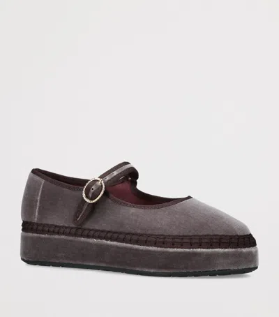 Flabelus Velvet Double Taupe Mary Janes In Brown