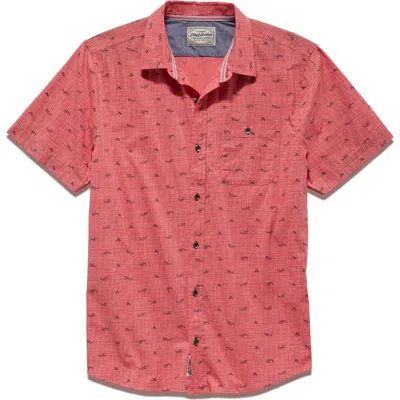 Flag And Anthem Springboro Shark Cotton Short Sleeve T-shirt In Red