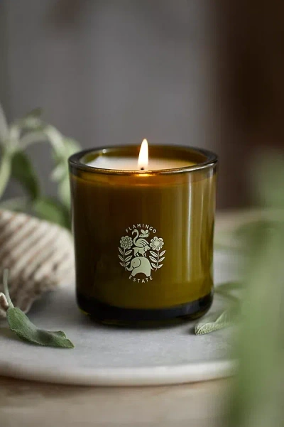 Flamingo Estate Adriatic Muscatel Sage Candle