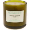 Flamingo Estate Adriatic Muscatel Sage Scented Candle In Green