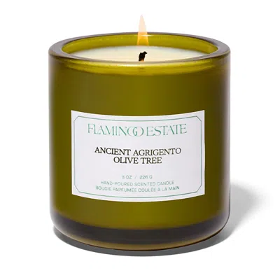 Flamingo Estate Ancient Agrigento Olive Tree Candle 8 Oz. In Green