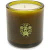 Flamingo Estate Ancient Agrigento Olive Tree Candle In Green