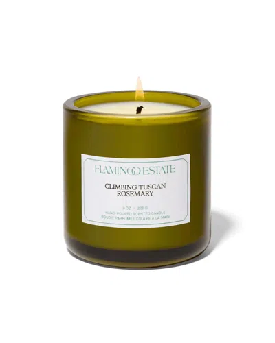 Flamingo Estate Climbing Tuscan Rosemary Candle In Green