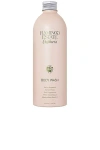 Flamingo Estate Euphoria Body Wash In N,a