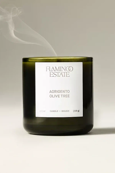 Flamingo Estate Fresh Agrigento Olive Tree Boxed Glass Candle In Green