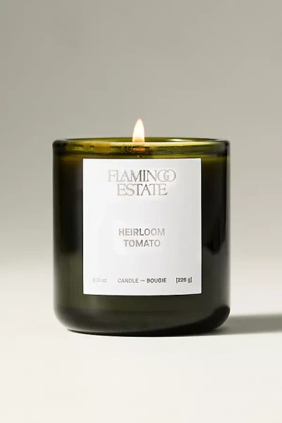 Flamingo Estate Fresh Heirloom Tomato Boxed Glass Candle In Green
