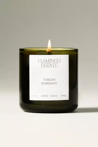 Flamingo Estate Fresh Tuscan Rosemary Boxed Glass Candle In Green