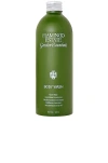 Flamingo Estate Garden Essentials Body Wash + Pump In N,a