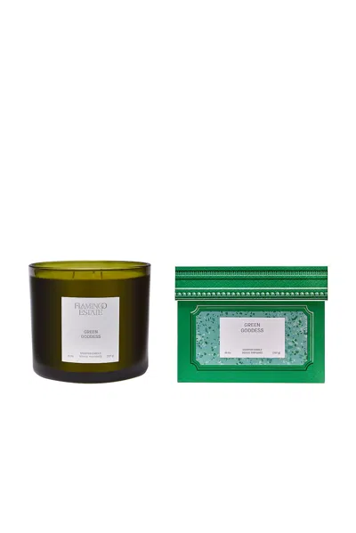 Flamingo Estate Green Goddess 26oz Candle In Multi