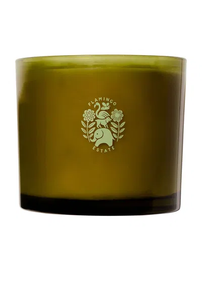 Flamingo Estate Jasmine & Rose Xl Candle In Green