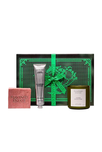 Flamingo Estate Jasmine Damask Rose Trio In Multi