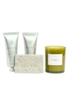 Flamingo Estate Mini Bestsellers Travel Size Gift Set In Green