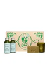 Flamingo Estate Mini Garden Discovery Set In N,a