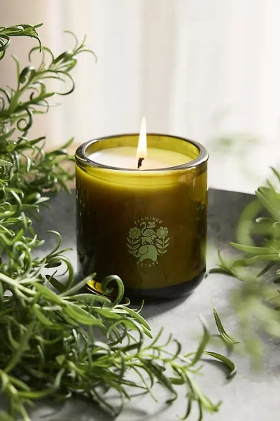 Flamingo Estate Olive Tree Candle
