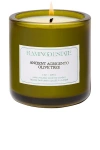 Flamingo Estate Olive Tree Candle In N,a