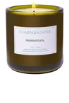 Flamingo Estate Prinsesstarta Candle In Green