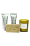 Flamingo Estate The Mini Garden Discovery Set