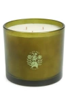 Flamingo Estate X-large Roma Heirloom Tomato Candle In Green