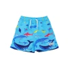Flap Happy Boys Upf 50+ Wesley Swim Trunks With Mesh Liner