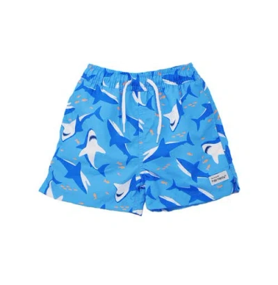 Flap Happy Babies'  Boys Upf 50+ Wesley Swim Trunks With Mesh Liner In Gray