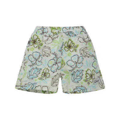 Flap Happy Kids'  Boys Upf 50+ Wesley Swim Trunks With Mesh Liner In Multi