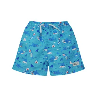 Flap Happy Kids'  Boys Upf 50+ Wesley Swim Trunks With Mesh Liner In Multi