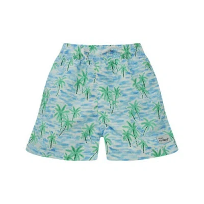 Flap Happy Kids'  Boys Upf 50+ Wesley Swim Trunks With Mesh Liner In Multi