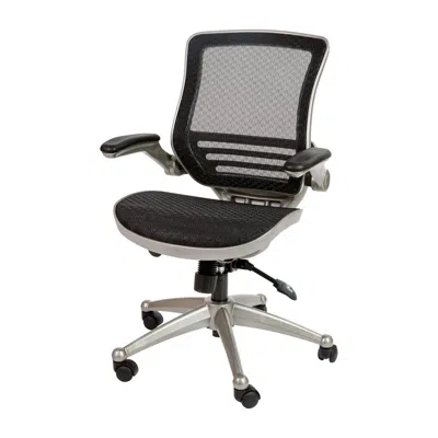 Flash Furniture Mid-back Black Mesh Executive Swivel Office Chair With Graphite Silver Frame