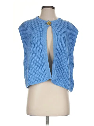 Pre-owned Flat White Cardigan Sweater In Blue