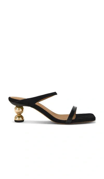 Flattered Ali Mule In 黑色
