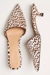 Flattered Noomi Mule Kitten Heels In Brown