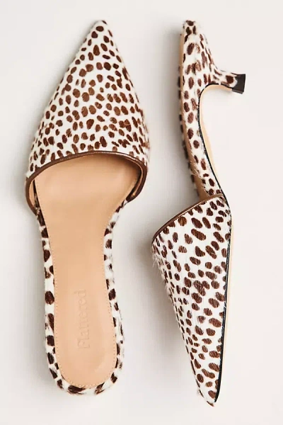 Flattered Noomi Mule Kitten Heels In Brown