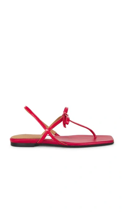 Flattered Sina Sandal