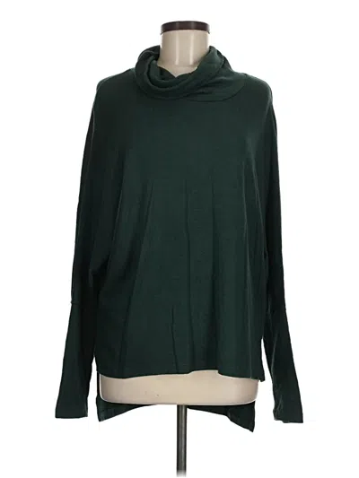 Pre-owned Flawless Turtleneck Sweater In Green