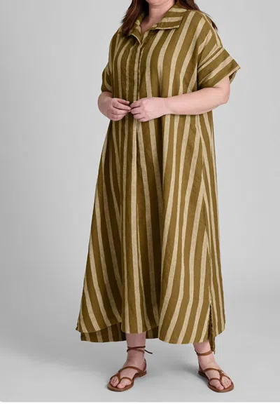 Flax Artful Shirtdress In Tabacco In Multi